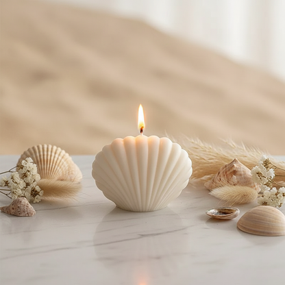 Shell Candle